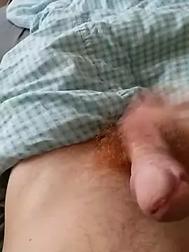 Snapshot of bodrika chatting on February 2026 02:58:02 PM bodrika online show from February 2026 02:58:02 PM