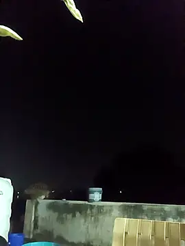 96rose online show from October 2025 02:14:02 PM