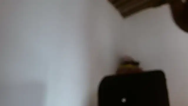 DaiishaWolf online show from May 2026 07:42:02 PM