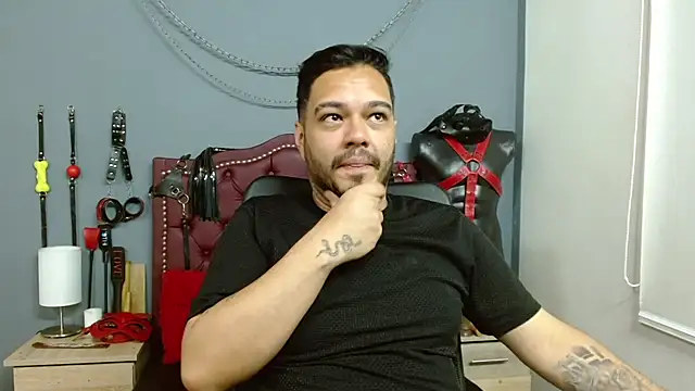 Stevens db online show from October 2025 07:37:02 PM