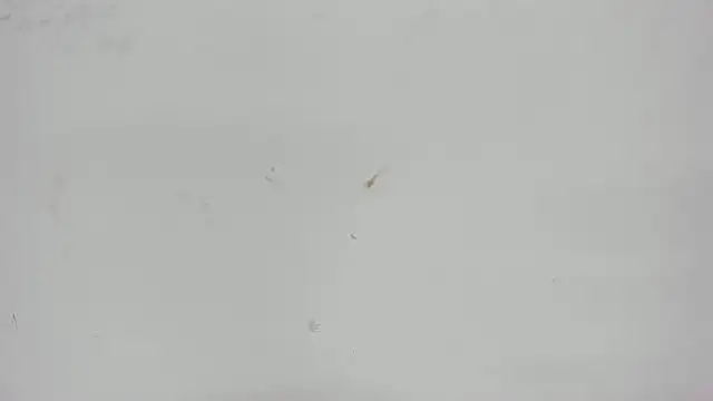 Aisha hotts777 online show from April 2026 03:12:01 AM