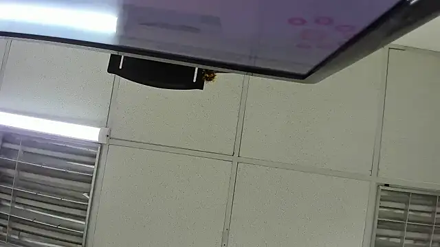 Aisha hotts777 online show from April 2026 03:46:02 AM