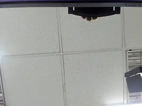 Aisha hotts777 online show from March 2026 02:45:02 AM