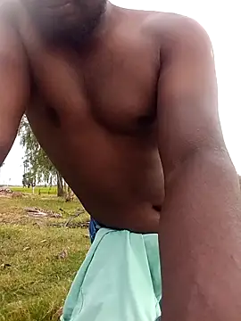 dolphiinn online show from February 2026 01:41:01 AM