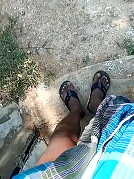 dolphiinn online show from April 2026 10:40:01 AM