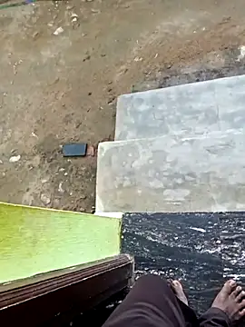 dolphiinn online show from November 2025 12:50:01 AM