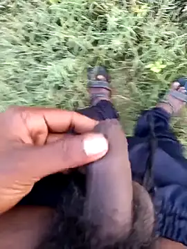 dolphiinn online show from February 2026 01:16:02 AM