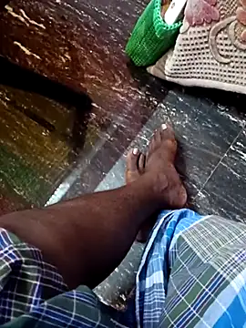 dolphiinn online show from November 2025 12:58:02 AM