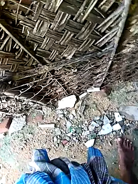 dolphiinn online show from November 2025 04:35:02 AM