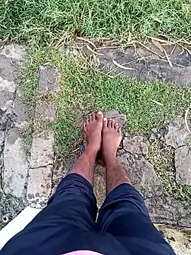 dolphiinn online show from December 2025 01:05:02 AM