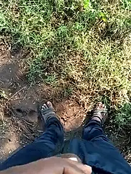 dolphiinn online show from February 2026 03:18:01 AM