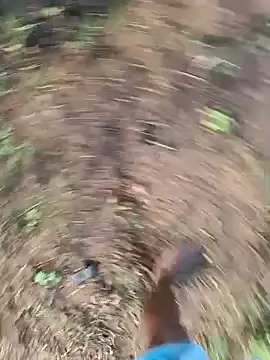 dolphiinn online show from March 2026 02:06:01 AM