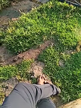 dolphiinn online show from March 2026 01:40:01 AM