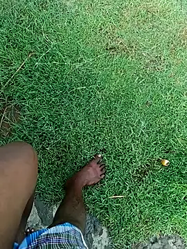 dolphiinn online show from November 2025 02:27:01 AM