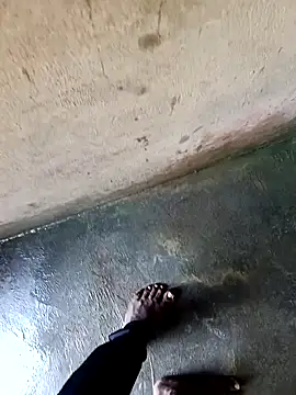 dolphiinn online show from December 2025 01:39:01 AM