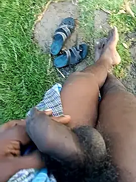 dolphiinn online show from January 2026 01:55:02 AM