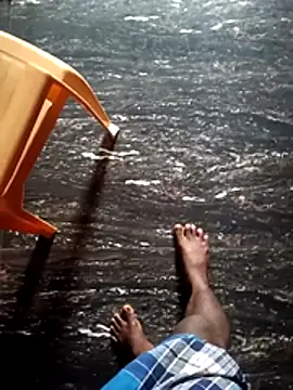 dolphiinn online show from December 2025 01:06:01 AM