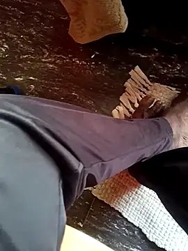 dolphiinn online show from November 2025 02:11:02 AM