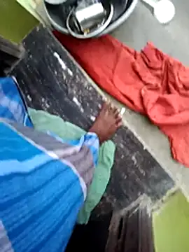 dolphiinn online show from November 2025 01:06:02 AM