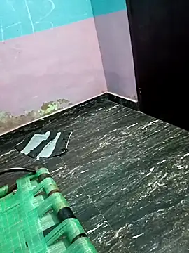 dolphiinn online show from November 2025 03:26:01 PM