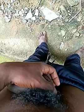 dolphiinn online show from December 2025 04:17:01 AM