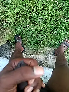 dolphiinn online show from March 2026 01:35:01 AM