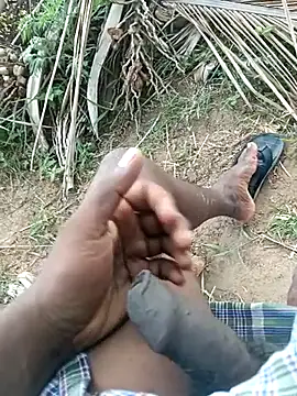 dolphiinn online show from April 2026 02:59:02 AM