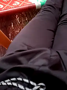 dolphiinn online show from November 2025 01:47:01 PM