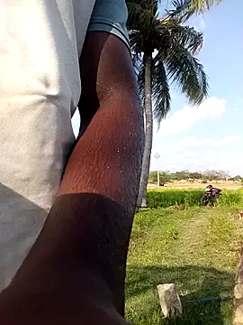 dolphiinn online show from April 2026 10:44:02 AM