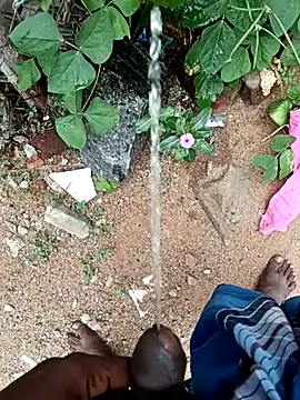 dolphiinn online show from November 2025 06:51:02 AM