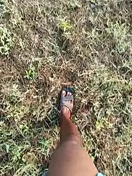 dolphiinn online show from March 2026 02:04:02 AM