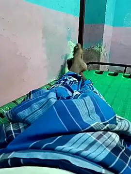 dolphiinn online show from October 2025 05:01:01 PM