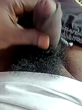 dolphiinn online show from December 2025 04:55:01 AM