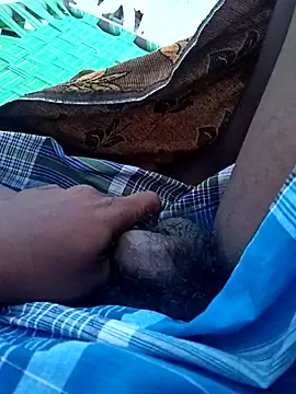 dolphiinn online show from October 2025 12:34:01 AM