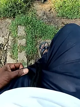 dolphiinn online show from April 2026 11:03:02 AM