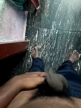 dolphiinn online show from November 2025 12:20:01 AM