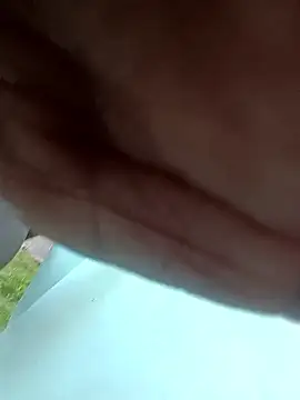 dolphiinn online show from February 2026 12:15:02 PM