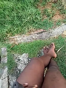 dolphiinn online show from January 2026 01:23:02 AM