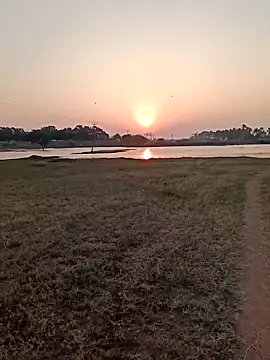 dolphiinn online show from February 2026 01:27:01 AM