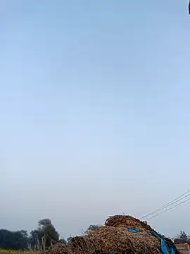 Pinky12A online show from January 2026 11:39:02 AM