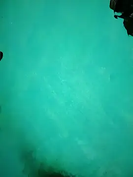 Arti13A online show from January 2026 03:15:01 PM