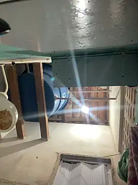 spiderfindom online show from July 2026 07:32:01 PM