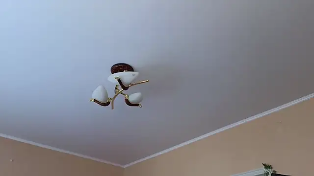 Rosette Pricky online show from April 2026 02:19:01 PM