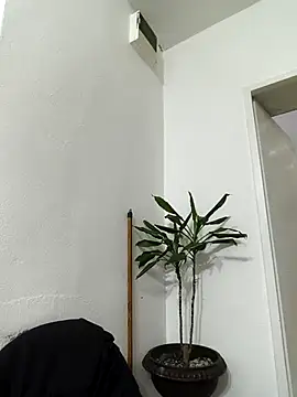 Snapshot of papichulo0099 chatting on February 2026 02:34:01 AM papichulo0099 online show from February 2026 02:34:01 AM