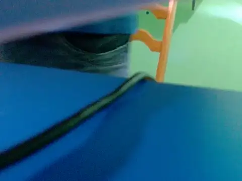 Snapshot of pau888kkkk chatting on September 2025 10:32:01 AM pau888kkkk online show from September 2025 10:32:01 AM