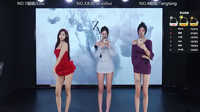 Snapshot of SK-001 chatting on February 2026 12:28:01 AM SK-001 online show from February 2026 12:28:01 AM