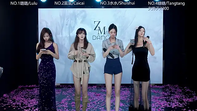 Snapshot of SK-001 chatting on January 2026 01:03:01 PM SK-001 online show from January 2026 01:03:01 PM