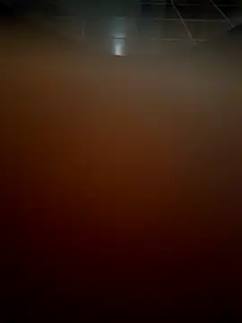 Kinshasa95 online show from December 2025 03:55:01 AM