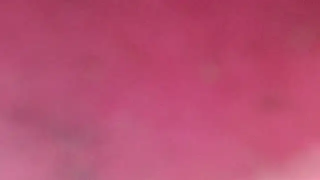 Shantall ks online show from February 2026 03:36:02 AM