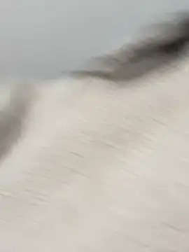 Victoria alson online show from February 2026 01:30:01 PM